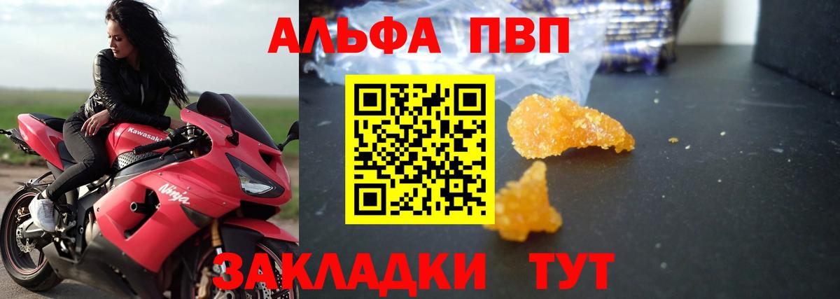 Alfa_PVP СК КРИС Сургут