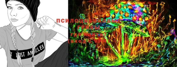 2c-b Осинники