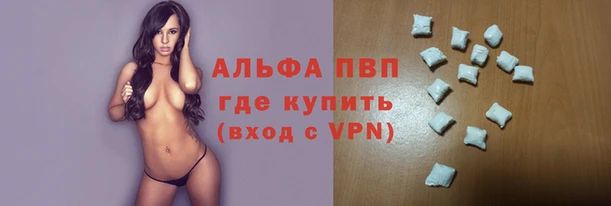 сатива Осташков