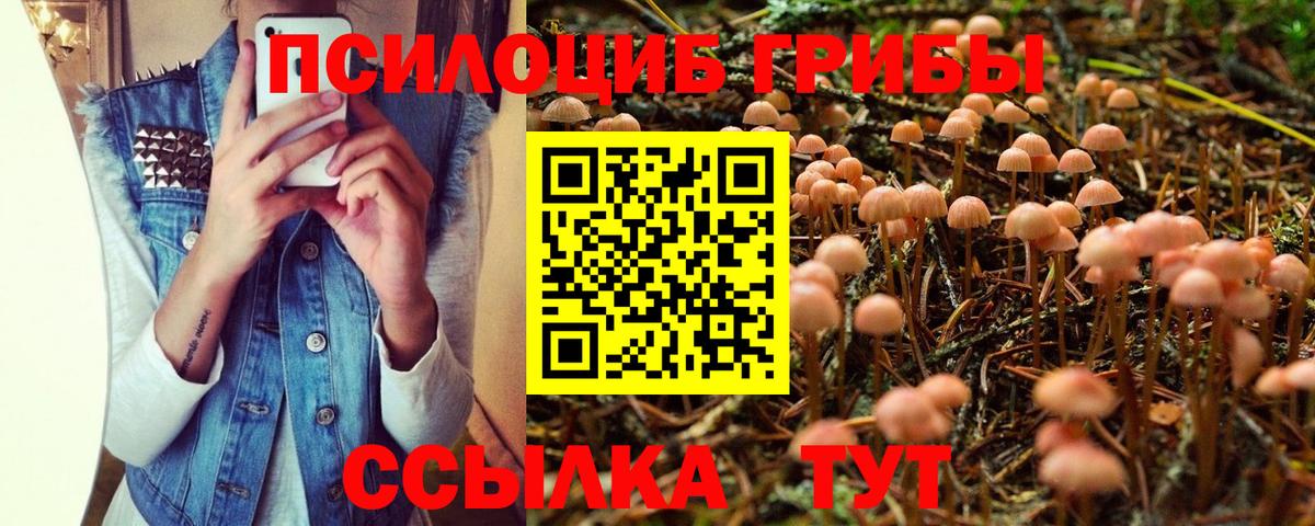 Сургут  где купить наркоту  Псилоцибиновые грибы Psilocybe  Вход с VPN  Галлюциногенные грибы Cubensis 