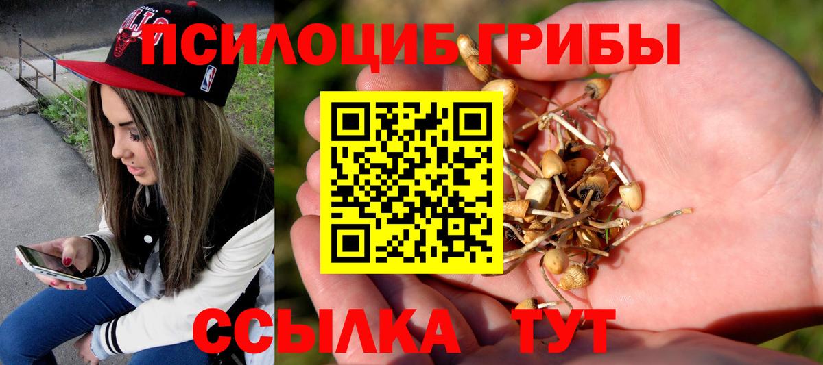 Галлюциногенные грибы Magic Shrooms Сургут